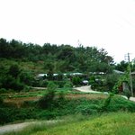 <b>진영</b> 우동리