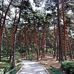 <b>태안</b>-