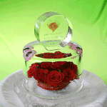 아름다운 아이스 플라워 - 22 -