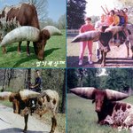 저렇게 큰 뿔달린 <b>소도</b> 있었네