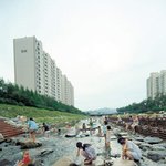 <b>평화</b>