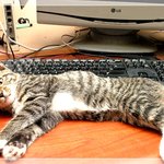 모델이 되어<b>주마</b>