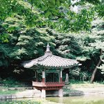 secret <b>garden</b>(창덕궁 비원)