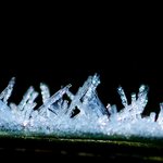 서리내린 <b>논밭</b>, 보석이 만발