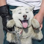 나 오늘 <b>화장</b>했는데  <b>이</b>뽀???