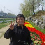 울동네 <b>튤립</b>축제