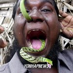 뱀으로<b>별짓</b>다하네그려. 코에서~>입으로