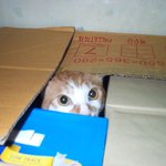 안녕.. <b>세르</b>...