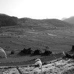 <b>청산</b>도풍경