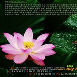7월 <b>달력</b> 배경화면7