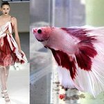 fall/winter 2008  런<b>웨이</b>에서 보여준 아름다운 물고기를...