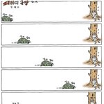 (<b>oops</b>) 토끼와 거북이乃乃