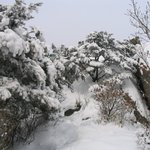 도봉산 <b>설경</b> 3