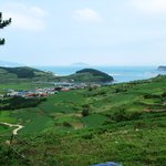 <b>청산</b>도풍경