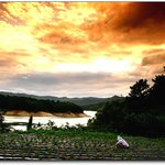 <b>모종</b> 심는날..