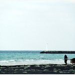 :: 어느 어머니의 겨울 바다 ::