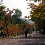 가을 <b>단풍</b>