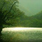 오늘은 더 안올립<b>니더</b>예6