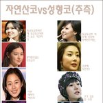 자연산코vs성형 코 연예인 비교 분석(<b>추측</b>임. 악플 금지)