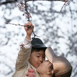 나의 가족의 봄 봄 봄