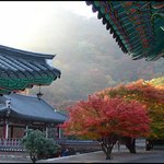 내장산 <b>단풍</b>-지난가을날