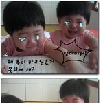 아기들의 귀여운 자살(?) <b>소동</b>!
