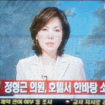 보호받아야할 사생활과 정형근-전여옥