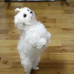 부담스럽게 예쁜 <b>순애</b>