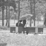 행운 = <b>우산</b>속 사랑
