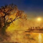 좋아서 올립<b>니더</b>예