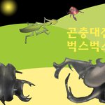 곤충대전 <b>벅스</b>벅스 바탕화면 -곤충버전-