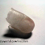 <b>촛농</b>으로 만든 손톱