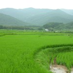 시골 풍경 <b>한컷</b>..