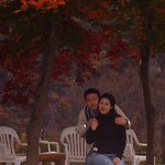 <b>단풍</b>과 함께하는 해인사