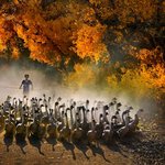 좋아서 올립<b>니더</b>예2