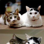우리는 쌍둥이 베<b>이베</b>~