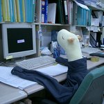 사무실에 <b>외계인</b>이 산대요