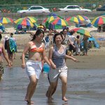 <b>해변</b>의 미녀들~!