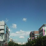 내가 내려다본 <b>육교</b>밑 풍경