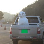 몇<b>일전</b> 영동지방 폭설 내린날..
