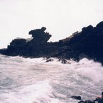 제주도용머리및<b>파도</b>