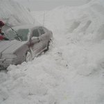 우리 나라의 폭설, 여기에 비하면 <b>새발</b>의 피!