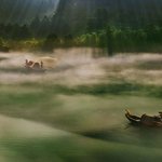 좋아서 올립<b>니더</b>예5