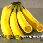 바나나와귤<b>합체</b>