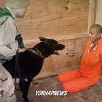 ap<b>통신</b>-올해의 사진