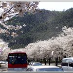 조금만 더 올립<b>니더</b>예
