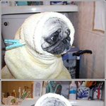 <b>이티</b>.......?