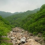 지리산 중산리에서 <b>장터</b>목 올라가는 길에