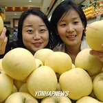 <b>황금</b> 사과 맛 보세요~