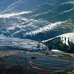 환[桓]에게 <b>충성</b>스러웠던 무리, 대리국으로 불리워 졌던 곳.